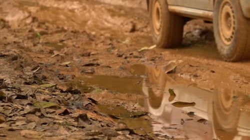 Wheel Car With Mud