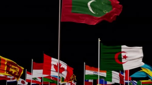 3D Flags of Nations Waving on a Black Background