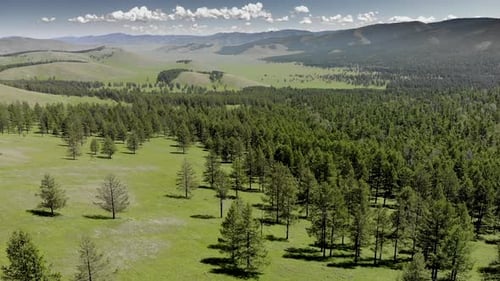 Grüne Wiesen in den spärlich bewaldeten zwischen waldbedeckten Hügeln mit Luftaufnahme