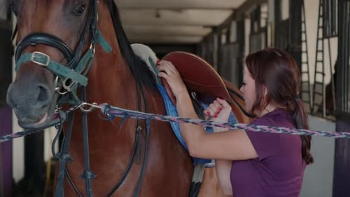 Une femme ajuste les sangles de selle sur un cheval dans une écurie