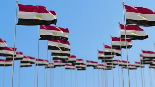 Egyptian Flags Waving in Blue Sky