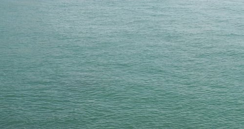 Tropisches Meer und Welle