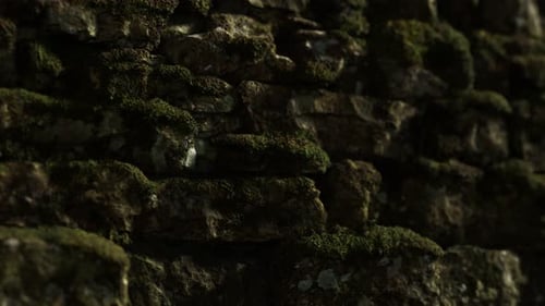 Detailed Mossy Stone Wall Moving Background Loop