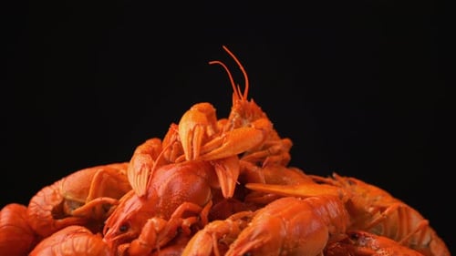 Footage Red Boiled Crawfish Closeup Rotate on a Tray.