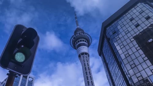 City Tower With Modern Architecture and Traffic Light