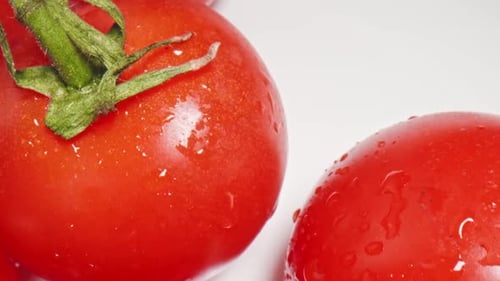 Fresh Red Tomatoes with Green Stems Close Up