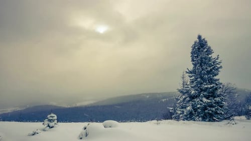 A Strong Winter Snowstorm