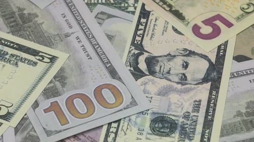 Banknotes Dollars Of The Old And New Sample Close Up