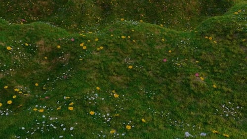 Flowing Green Hills Animated Background with Wildflowers