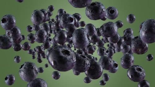 Burst of Blueberry in Green Background