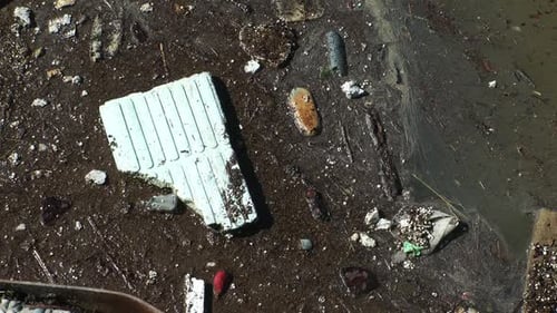 Déchets et déchets flottant à la surface de l'eau