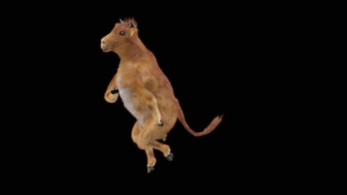 Dancing Calf 3D Character Animation Loop