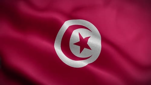 Waving Flag of Tunisia Seamless Loop