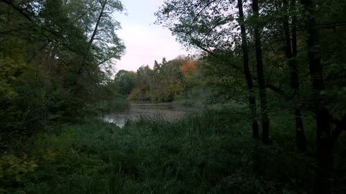 Aerial Drone Shot of Colourful Trees Over Small Lake in Autumn Forest