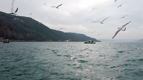 Luftaufnahme des Istanbuler Bosporus und des Fischerbootes