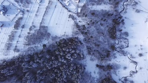 Winter Forest and Buildings. View From Above . Aerial View