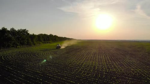 Aerial View of Farming Tractor Spraying on Field with Sprayer Herbicides and Pesticides at Sunset