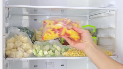 Frozen Vegetables Stored in Refrigerator Freezer