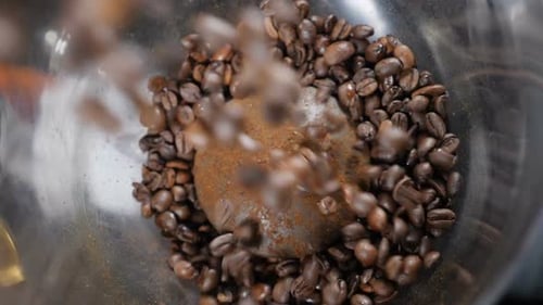 Beans of Coffee Raining in Slow Motion. Conceptual Clip of Coffee Beans, Close Up. Coffee Beans
