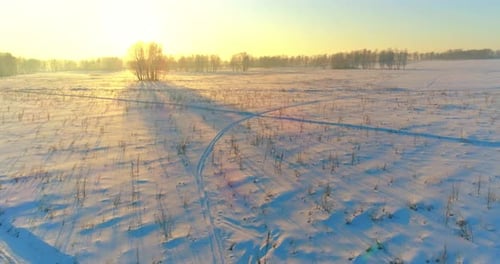 Drohnenaufnahme der kalten Winterlandschaft mit arktischen Feldbäumen, die mit Frostschnee bedeckt sind