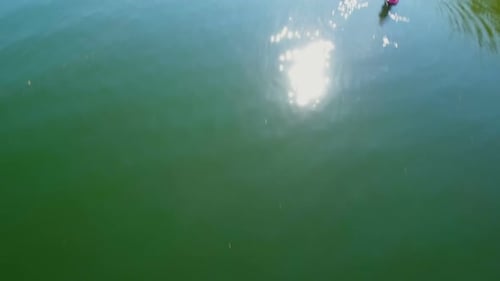 Couple on stand up paddle board oaring in river