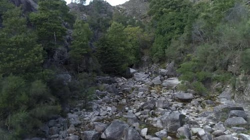 Flowing River with Rocks