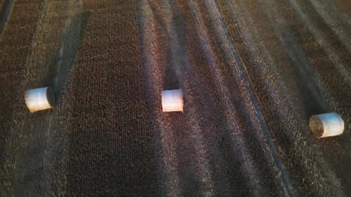 Stroh, das nach der Getreideernte in Ballen gesammelt wurde.