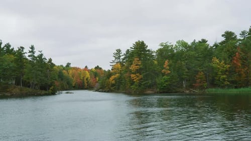 Scenic Autumn Forest Reflecting on Lake Water