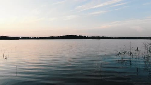 Fantastic Flight Over the Surface of the Lake in Nature at Sunset in Summer
