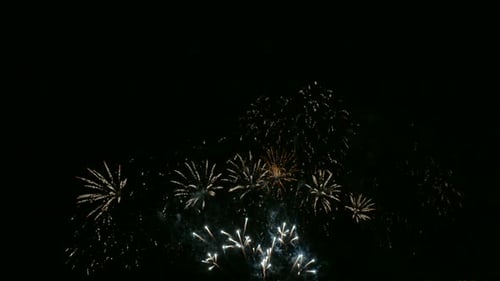 Brilliant Fireworks Exploding in the Night Sky