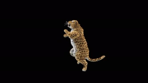 Leoparden-Tanzen 4K