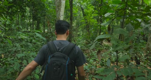 Man Walking In Forest