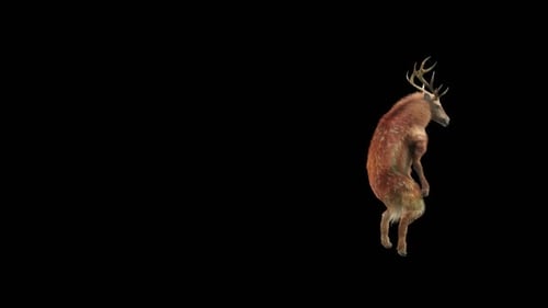 Animated Dancing Deer Character on Alpha Channel