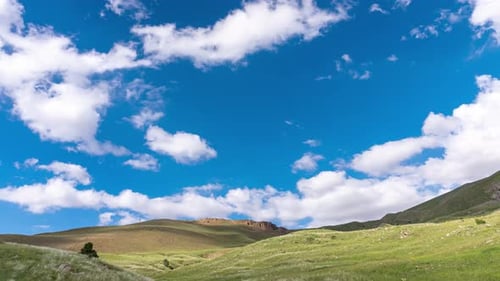 Rolling Green Hills Under a Sunny Sky