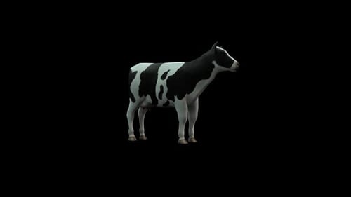 Animated 3D Cow Standing and Flicking Tail