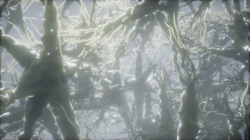 Journey Through a Neuron Cell Network Inside the Brain