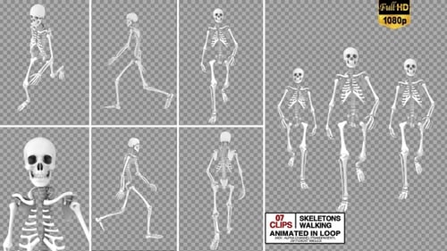 Skeletons Walking