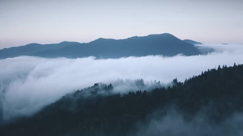 Morning Mountain Fog Over Pine Tree Forest