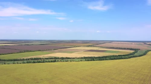 Vast Agricultural Fields Seen From Above