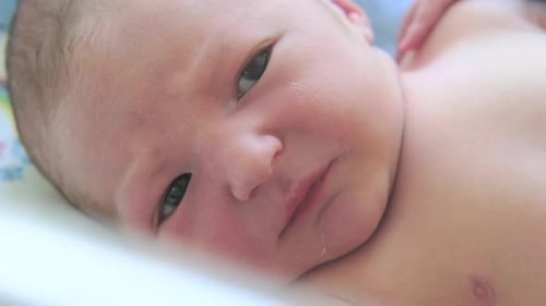 A newborn baby is lying in the crib of the maternity hospital