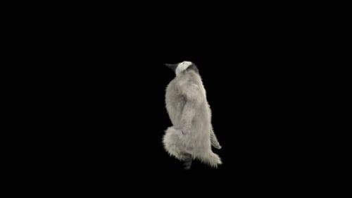 Penguin Dancing HD