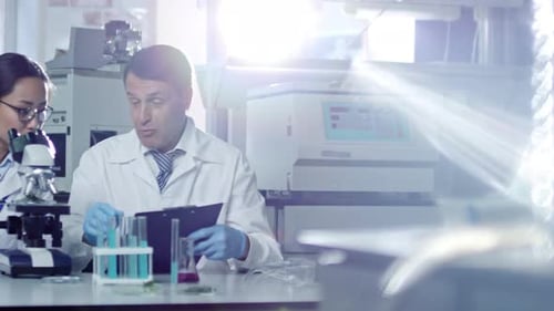 Two Scientists Working in Laboratory