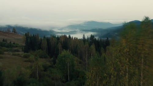 Clouds Dramatic Dark Mountains Forest Autumn Valley Pine