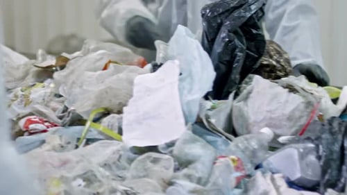 Workers Sort Recycling on Conveyor Belt