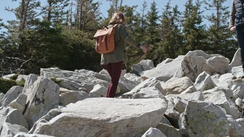 Woman Hiker Climbing Rocky Mountain Path With Backpack