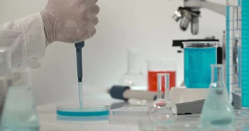Gloved Hand Pipetting Liquid into Petri Dish