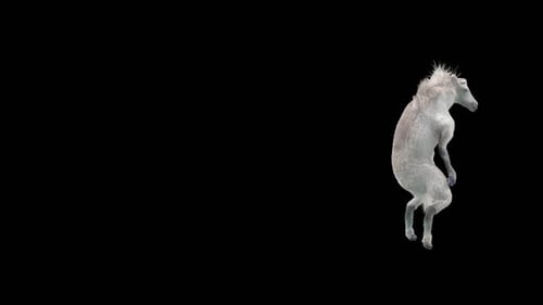 Animated Fluffy White Horse Dancing Loop with Alpha Channel