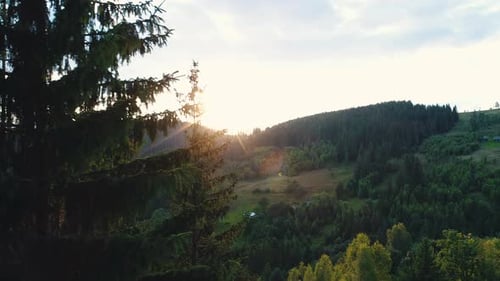 Sunset Over a Mountain Forest