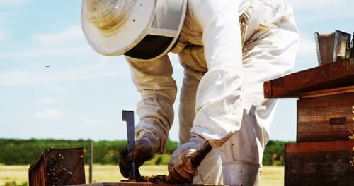 Beekeeper Inspecting Honeycomb at Sunny Rural Apiary