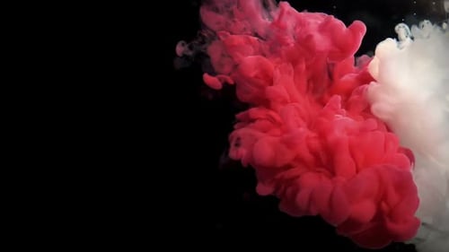 Pink and White Ink Swirling on Black Background
